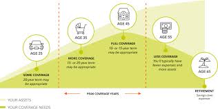 Flexible coverage options available from $100,000 to $300,000. Term Life Insurance Financial Resources Coverage Options Fidelity