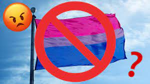 Pride flags are often carried out at pride parades and other visibility events to show identification or support for a particular gender identity or sexuality. We Probably Won T Get A Bisexual Pride Flag Emoji Anytime Soon Here S Why