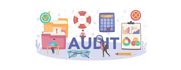 Secretarial Audit: Meaning ...