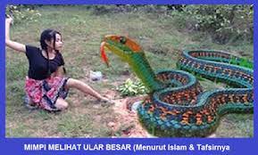 We did not find results for: Mimpi Melihat Ular Besar Menurut Islam Tafsirnya Pertanda Mimpi