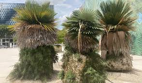 The first weather testing of architectural materials and finishes was recorded in 1906 at the government agricultural. The Art Of Horticulture In The Neighborhood