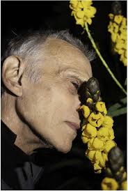 Frank Armstrong's Photographic Legacy