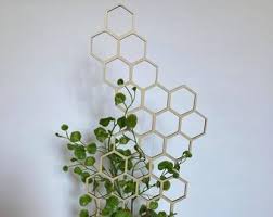 You can also add a trellis to an existing pot that already has a plant growing in it, but keep in mind that you may be damaging the roots this way. Indoor Plant Trellis Etsy