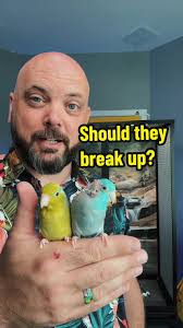 Stress Bird Pulling Out Feathers