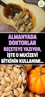 Cebinizdeki Doktor Kabak Cekirdegi Kabak Cekirdegi Sifa Almanya Doktor Food Healthy Health