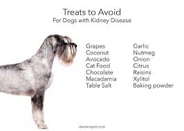 Dog Food For Kidney Disease Guide Darwin S Pet In 2020 Dog Food Recipes Dog Kidney Disease Diet Kidney Disease