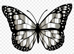 Check spelling or type a new query. Monarch Butterfly Clipart Transparent Butterfly Drawing With Colour Hd Png Download 2310x1590 5102703 Pngfind