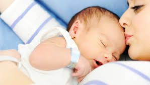 Ross Efford, Author at Life Long Products