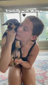 A morning of training with Willow the weenie 🥹🐶❤️🖤, •, •, •, •,  #training #dog #puppy #minidacshund #willow #dogtraining #patience #love  #athlete #morning #routine #puppylove #dogmom
