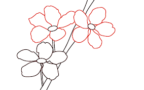 Check spelling or type a new query. How To Draw Cherry Blossoms Draw Central