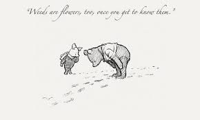 We hope you will like this project and share with your friends and relatives. 14 Beautiful Winnie The Pooh Quotes Winnie The Pooh Drawing Winnie The Pooh Friends Pooh Quotes