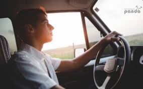 This means that the insurance coverage will cover any driver. How Do You Insure A Driver With A Learner S Permit