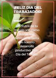 El labor day (en español: Feliz Dia Del Trabajo 2021 Frases Y Mensajes Solo Tendencias