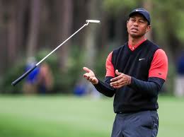 Tiger woods — net worth $1.7 billion tiger woods is the most well known american professional golfer and one of the greatest golfers of all time. What Is Tiger Woods Net Worth How Golf Legend And Masters Winner Spends His Millions Irish Mirror Online