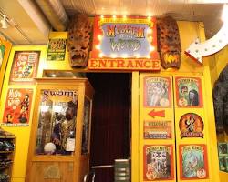 Image of Museum of the Weird, Austin Texas