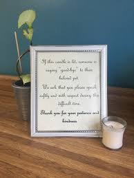 Grieving the loss of a pet cat after euthanasia. Euthanasia