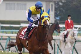 【公式サイト限定】 素直になれない恋人たち 4th season 向理来ブロマイドセット. ãƒžã‚¤ãƒ©ãƒ¼ã‚ºã‚«ãƒƒãƒ—2018ã®äºˆæƒ³ã‚ªãƒƒã‚º äººæ°—ã¨æ—¥ç¨‹ å‡ºèµ°äºˆå®šé¦¬ã¨éŽåŽ»ã®å‚¾å'