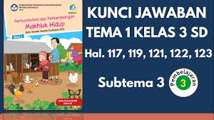 · yang dapat diceritakan dari gambar: Kunci Jawaban Tema 1 Kelas 3 Sd Halaman 117 119 121 122 123 Youtube