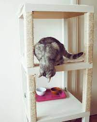 9 Ways You Ve Never Thought To Use Your Bookshelf Ikea Hacks For Cats Diy Cat Tree Ikea Cat