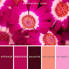 The radiant orange undertones in tawny pull the look together with a cozy and warm touch. Beautiful Fresh Purple Blossoms Color Palette 314 Ave Mateiu