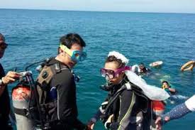 Tapi tak buat pengesahan pun di malaysia, tup2 buat keputusan untuk bercerai. Nikah Bawah Laut Di Thailand Hanya Rp 12 Juta Tertarik