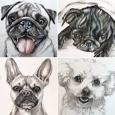 Geschlechtsreif ist ein rüde mit etwa zwei jahren, eine hündin meist sogar schon. Tierportrait Kohlezeichnung Animalpainting Pinselmania Mops French Pudel Kohlezeichnung Mops Tiere
