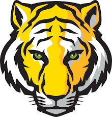 Depauw Tiger C Jpg 1510 1571 Arte De Rua Desenho De Ninja Desenho