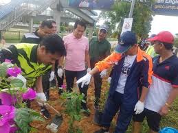 Bunga raya adalah tanaman hiasan yang mudah dibiak dan ditanam. 40 000 Pokok Bunga Kertas Indahkan Bandar Kuantan