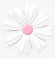 We have 72+ background pictures for you! Fotki Pink Daisy Flower Clipart Clip Art Bouquet Daisy Transparent Png 799x800 Free Download On Nicepng