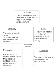 What Is Morphology Definition Speech Language