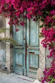 Bougainvillea Wish We Could Have These In Zone 5 Unique Doors Windows And Doors Cool Doors