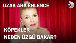 Kopekler Neden Uzgun Bakarlar Uzak Ara Eglence 3 Bolum Youtube