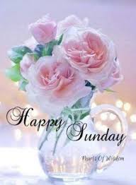 Good Morning Sunday Flower Good Morning Happy Sunday Happy Sunday Morning Good Morning Happy