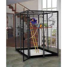 I did not know it was dead. Indoor Aviaries Custom Build Your Own Custom Cages