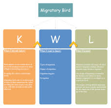 What Is A Graphic Organizer Explain With Examples