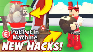 Tons of codes and rewards are waiting for you, so don't let expire the codes and claim them all. New Top Secret Glitches In Adopt Me 2020 Roblox Roblox Adopt Me Hacks 100 Working Youtube