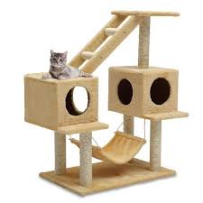Kitty Climber Cat Tree Kedi Evi Kedi Ve Guzel Kediler
