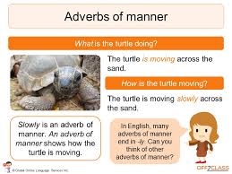 We did not find results for: Adverbs Of Time And Adverbs Of Place Lesson Plans Off2class