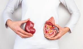 Kerap berasa lemah dan letih. Risau Buah Pinggang Rosak Hati Hati Jika Anda Ada 6 Tanda Ini Vitamin Ibu