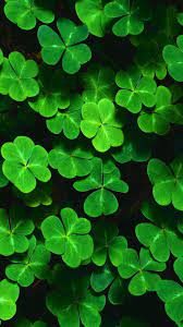 Good Wallpaper Apps For Iphone Unique Iphone Wallpaper Good Luck Blog Teraktual Nature Iphone Wallpaper St Patricks Day Wallpaper Wallpaper Nature Flowers