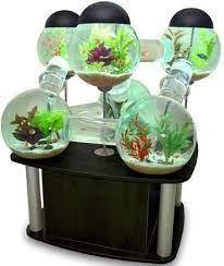 Aquarium mini bisa menjadi salah satu tempat hidup ikan kecil dan bisa menjadi salah satu hiasan dalam ruangan. Memilih Mini Aquarium Untuk Ikan Hias Kecil Projects To Try Aquario Decoracao Casas