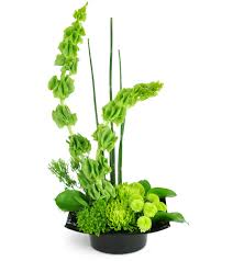 Bar & grill in pensacola, florida. Cactus Garden Pensacola Fl Florist