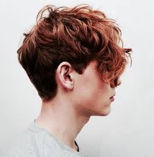 A cool haircut for men that have thick hair. Pin By Ava Ohb On Fujiwara Red Curly Hair Red Hair Boy Red Hair Men