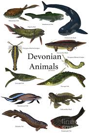 Millipedes, centipedes and arachnids continued to diversify during the devonian period. Devonian Animals Digital Art By Corey Ford