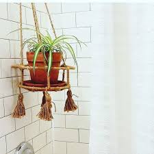 See more ideas about bathroom plants, plants, plant decor. Here S Why You Need A Shower Plant In Your Bathroom Hello