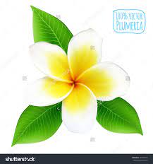Pin On Tattoo Ideas Kinda