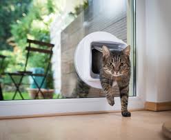 Brown microchip cat door by sure petcare. The Uk S 5 Best Microchip Cat Flaps Reviewed Upgardener