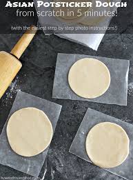 How To Make Potstickers Dough In 5 Minutes With Video Tutorial Recipe Homemade Recipes Potstickers Recipe Food