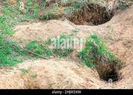 Alamy