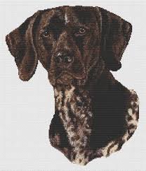 Puppies go to their new homes up to date on shots, wormed and vet checked. German Short Haired Pointer Cross Stitch Pattern Ii Dogshoppe Net Cross Stitch Cross Stitch Pictures Cross Stitch Patterns